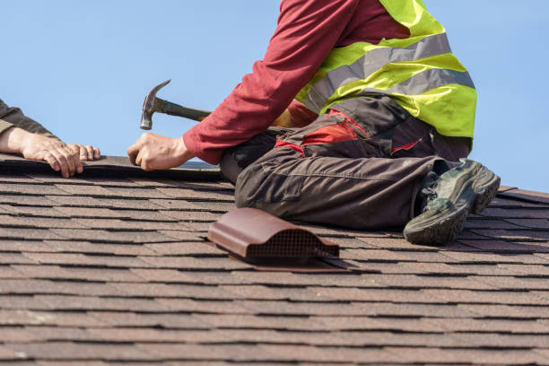 Roof Gutter Cleaning in Olean, NY