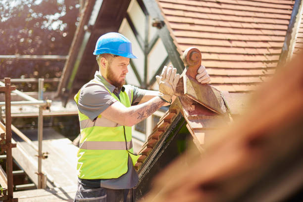 Best Flat Roof Repair Services  in Olean, NY