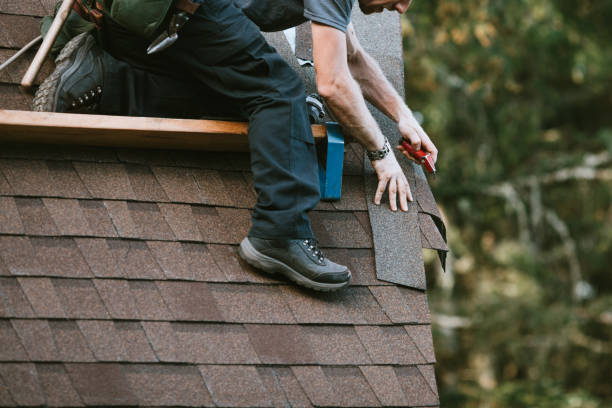 Best Roof Gutter Cleaning  in Olean, NY